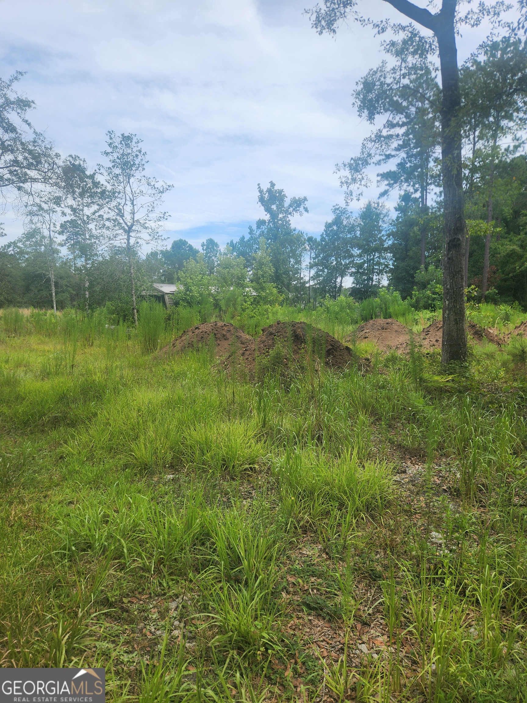 321 Sandhill RD