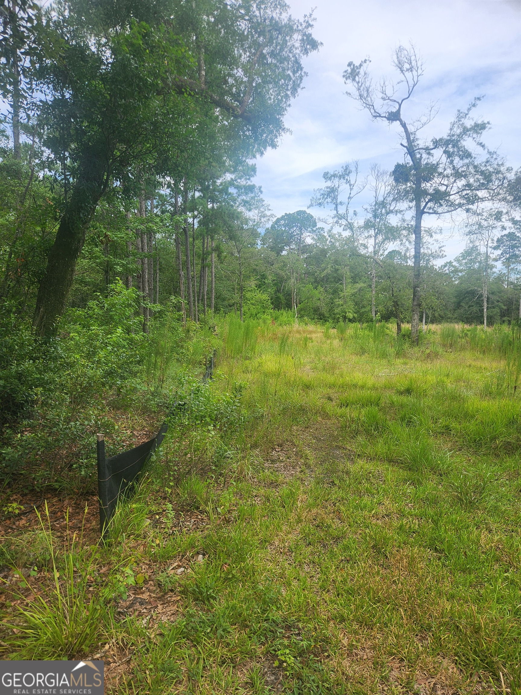 321 Sandhill RD