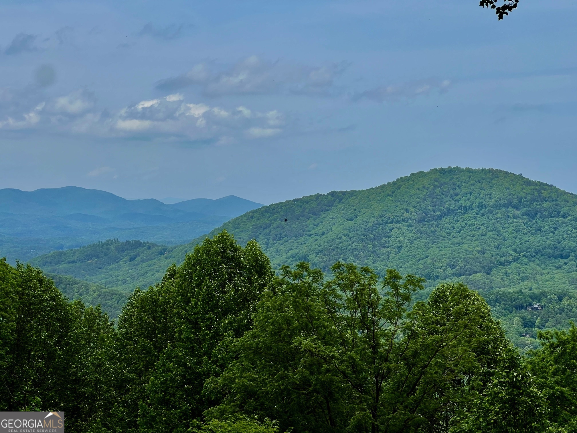 Discover Your Slice of Paradise in Walnut Mountain. Escape to the serene beauty of the North Ga Mountains with this premium lot, featuring BREATHTAKING RIDGE TOP Mountain Views! This gated community offers a wealth of amenities for your enjoyment. Paved access to your dream home. Enjoy a refreshing dip in the pool, play tennis or pickleball on well-maintained courts, or unleash your furry friend in the new dog park. Kids will enjoy the playground, and everyone can gather in the clubhouse for social events. Explore four stunning lakes and a dedicated area perfect for family outings. Turniptown Creek flows through the community, enhancing its natural charm. Benefit from a conveniently located mail kiosk & storage for your RV, boat, or trailer. Just minutes away from the charming town of Ellijay, this property is not just land; it's a lifestyle waiting for you! Don't miss the chance to make this beautiful community your own!! No Mobile Homes or Campers Allowed
