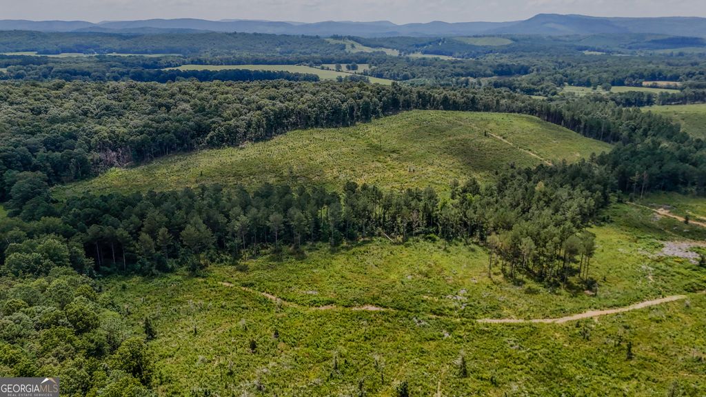 Photo of 8 Back Valley Road, Lyerly, GA 30730 (MLS # 10708719)