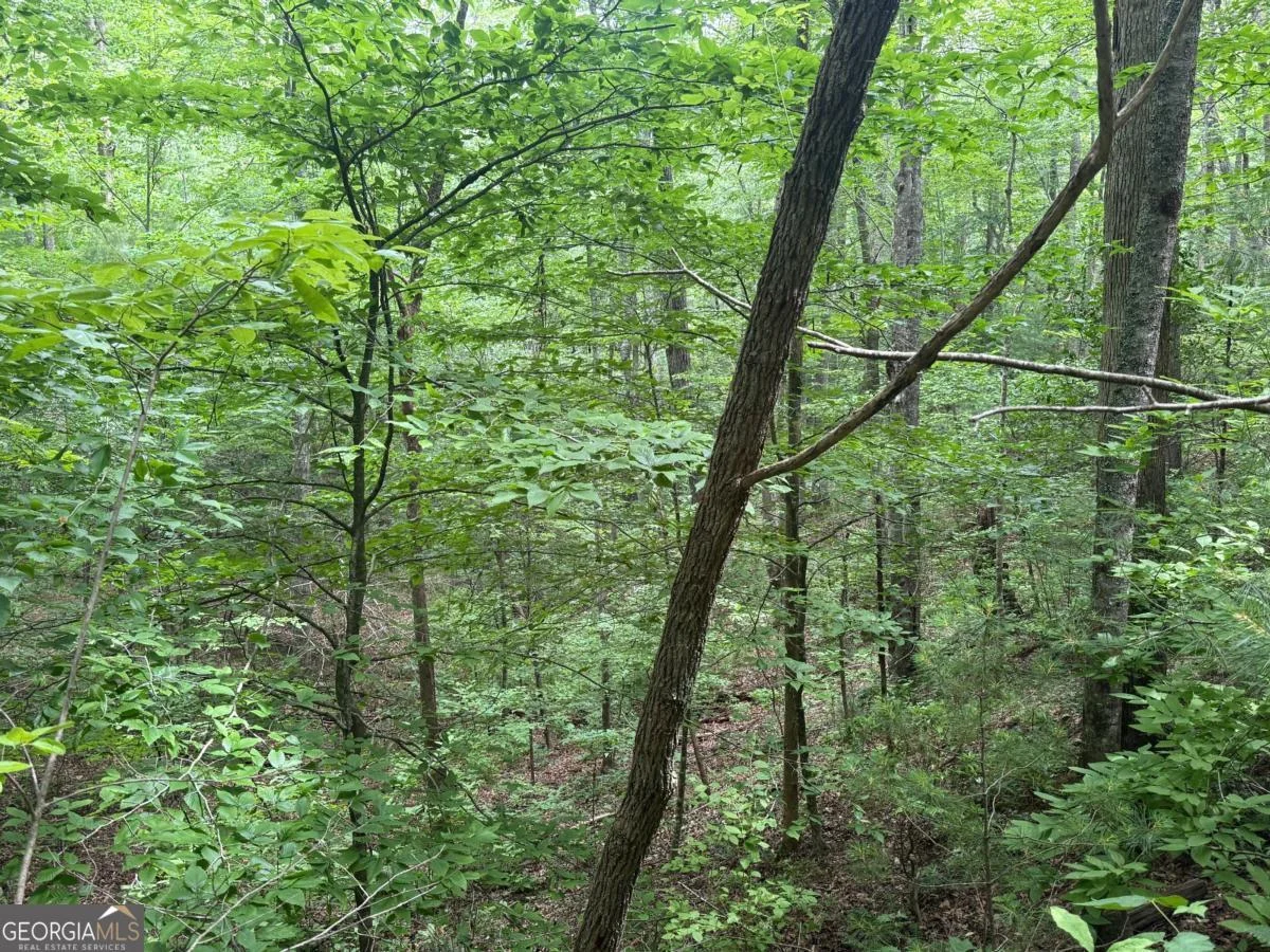 1 AC Spiva Cove Circle