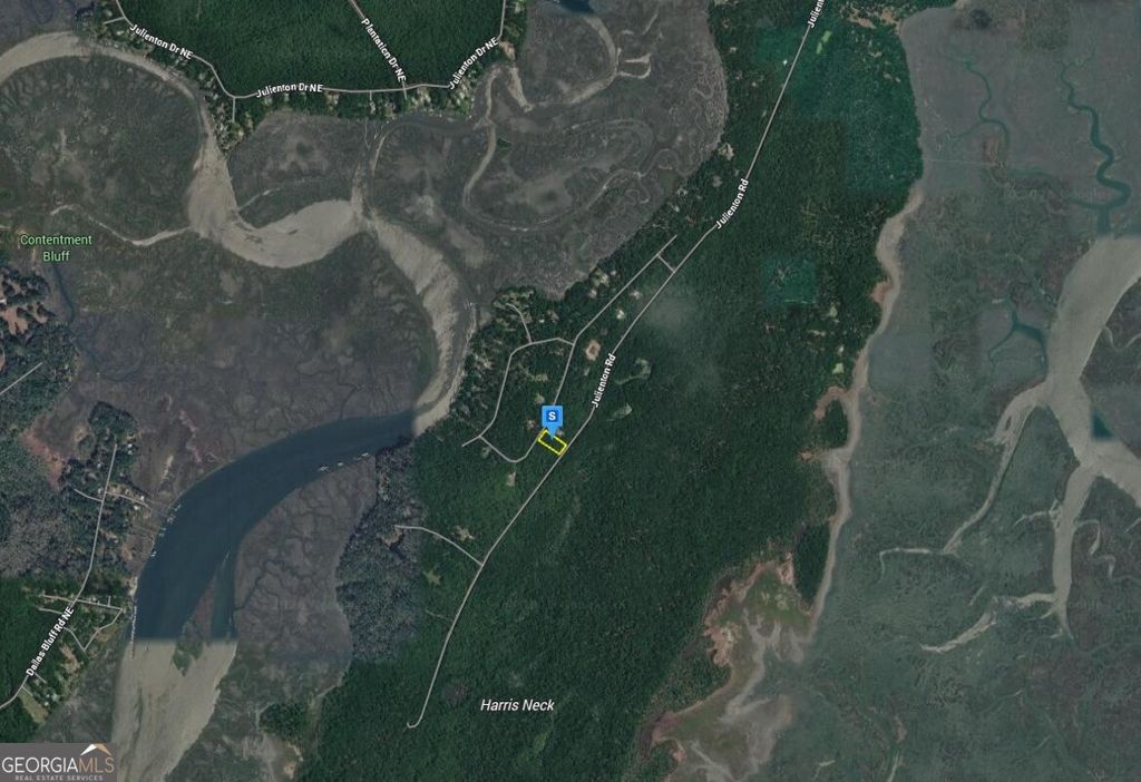 Photo of 1545 Delegal Drive, Townsend, GA 31331 (MLS # 10697985)