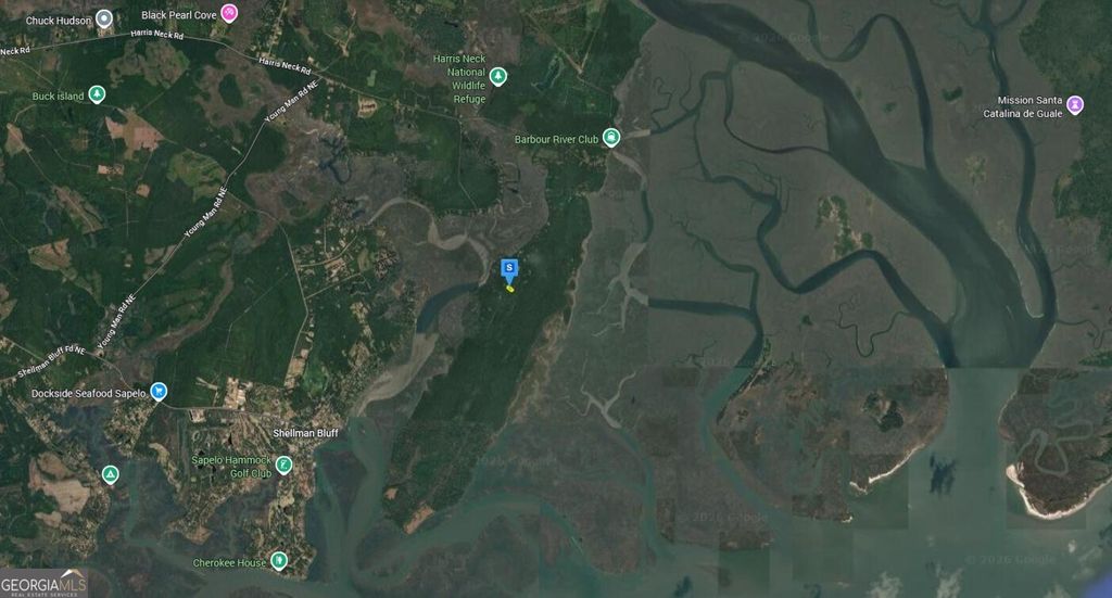 Photo of 1545 Delegal Drive, Townsend, GA 31331 (MLS # 10697985)