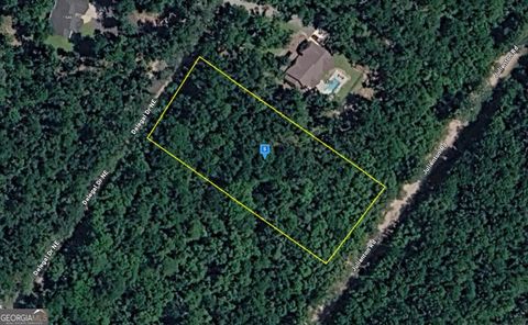 Photo of 1545 Delegal Drive, Townsend, GA 31331 (MLS # 10697985)