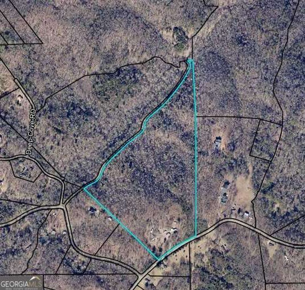 Photo of 46 Green Kirby Lane, Blue Ridge, GA 30513 (MLS # 10654435)