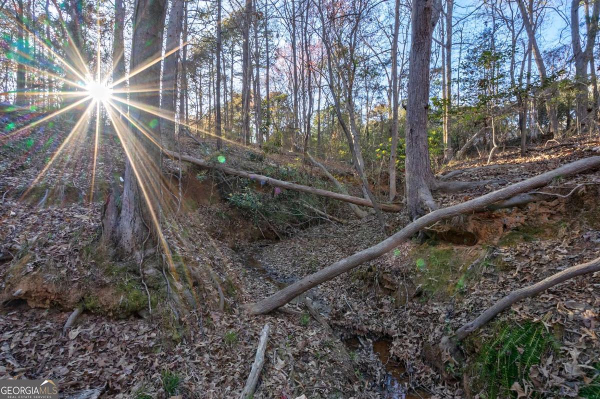 LOT1 Powderbag Creek RD