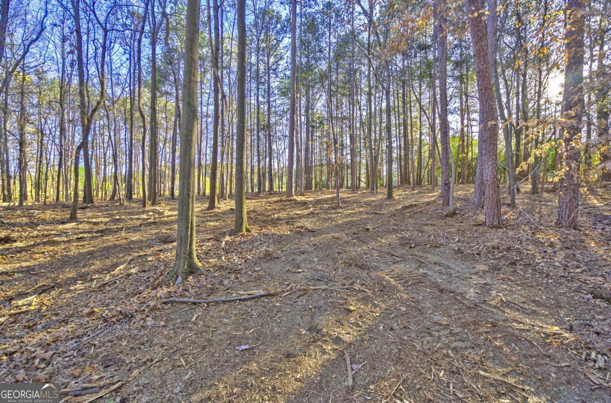 LOT1 Powderbag Creek RD