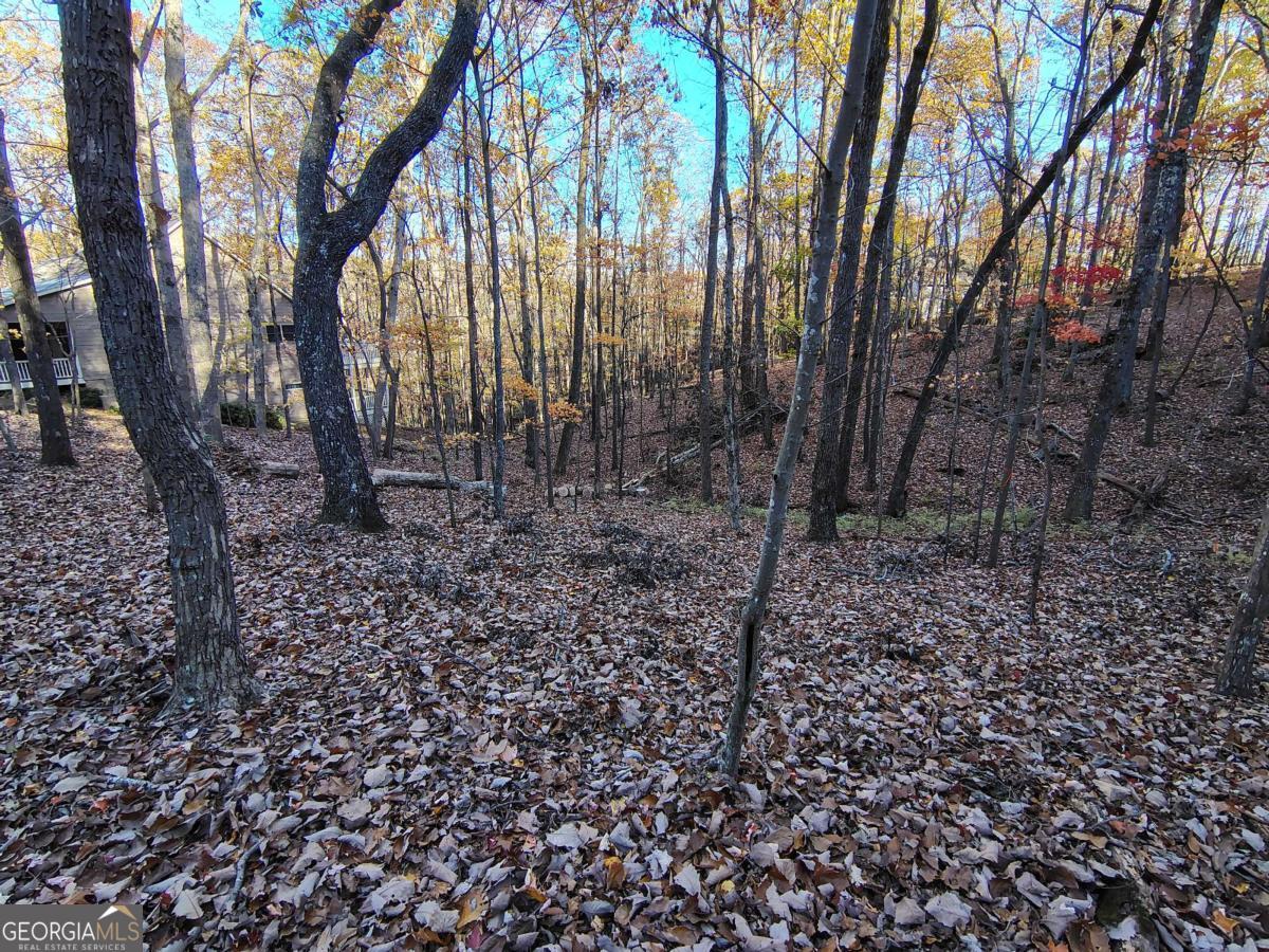 26 Chestnut Oak PT