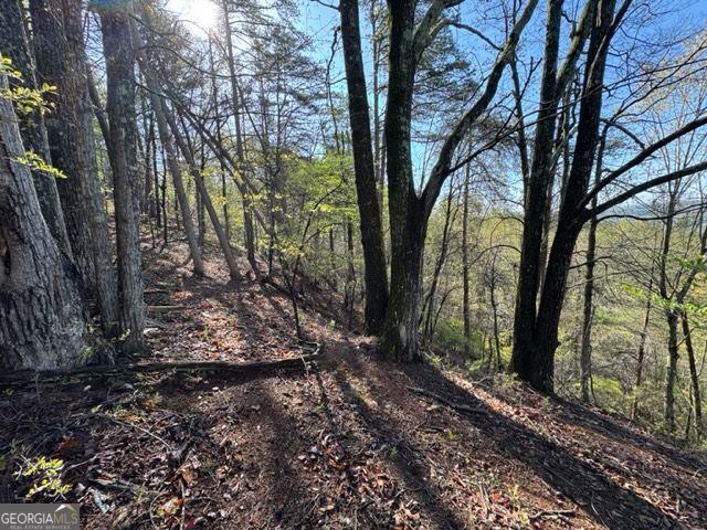 0 CROWN MOUNTAIN