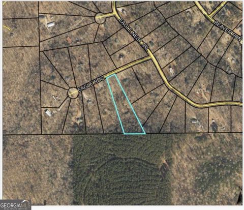 Photo of 103 Eagle Ridge, Ball Ground, GA 30107 (MLS # 10736956)