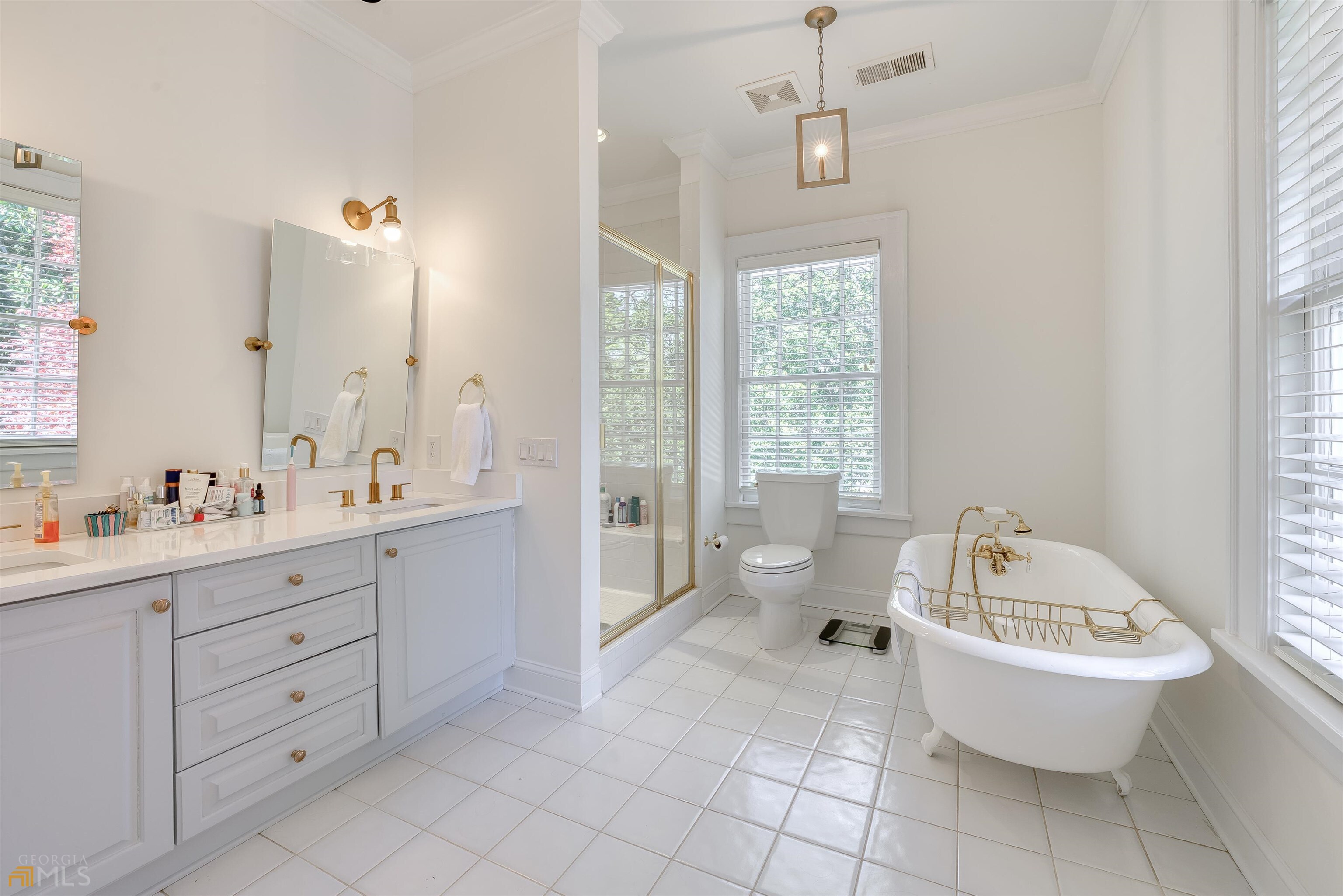 Druid Hills - Residential
