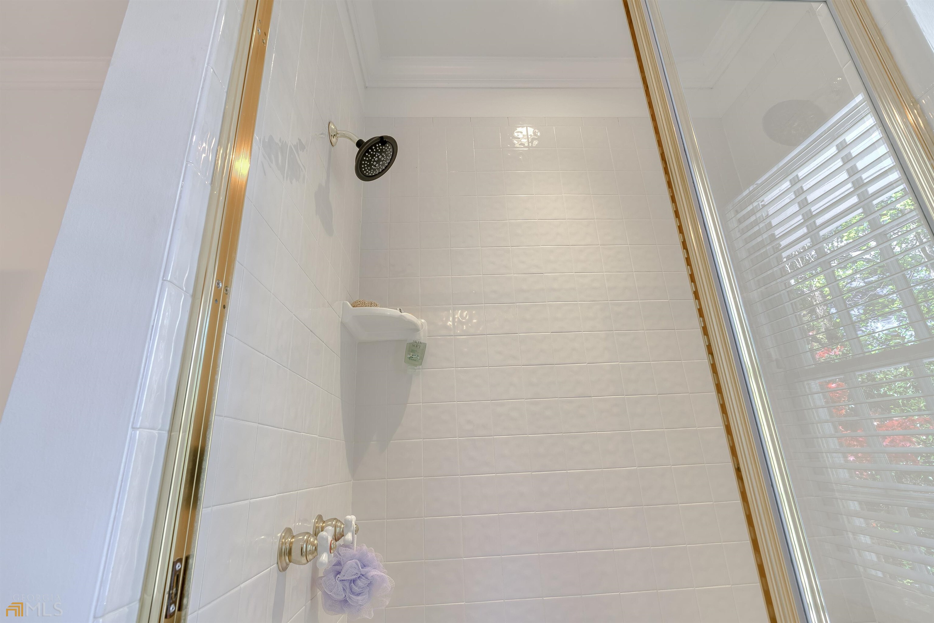 Druid Hills - Residential