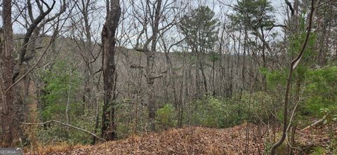 361 Vista Dell LN Tallulah Falls GA 30573