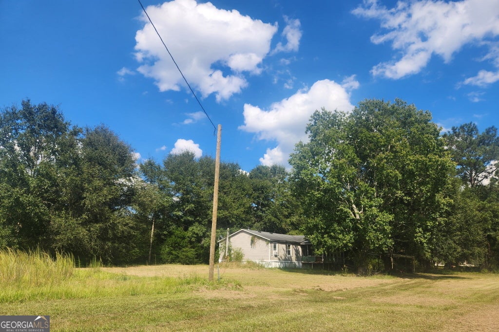 Photo of 256 Peafowl Rd, Sylvester, GA 31791 (MLS # 10875160)