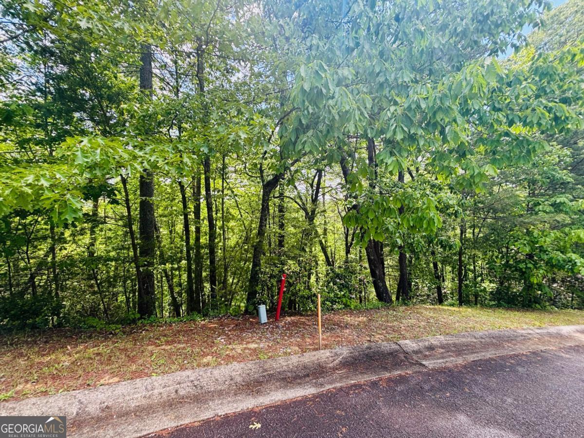 0 Rosen Strasse LOT 141