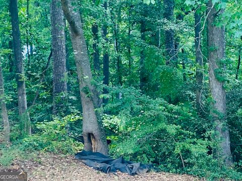 A home in Toccoa