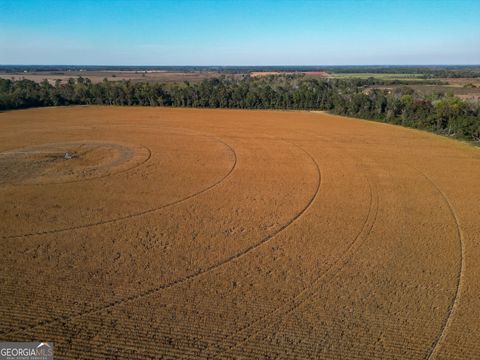 Photo of 0 Buck Road, Morgan, GA 39866 (MLS # 10658812)