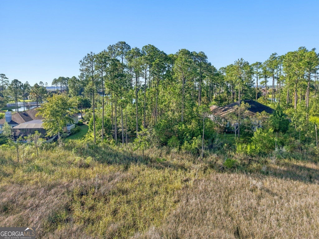 Photo of 1730 Isles Of Saint Marys Way, St. Marys, GA 31558 (MLS # 10872938)