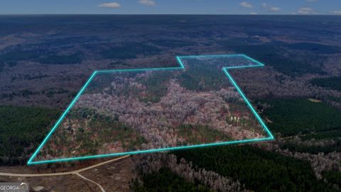 Photo of TRUSLOW SOUTH Durham Mill Road, Jeffersonville, GA 31044 (MLS # 10687425)