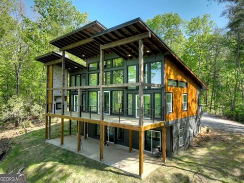 840 Arp RD Mineral Bluff GA 30559