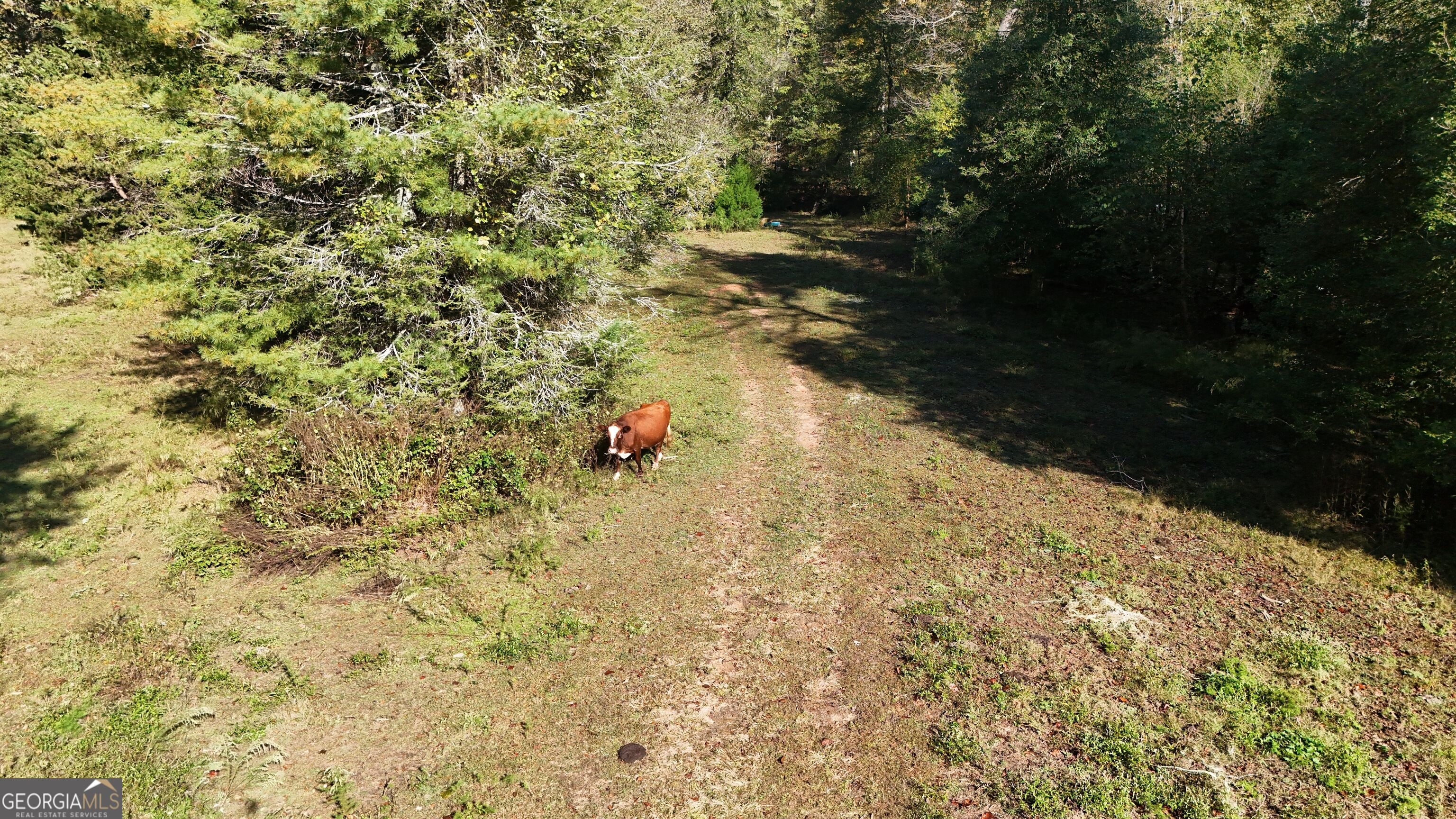 0 Town Creek RD
