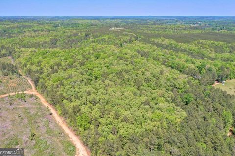 A home in Tallapoosa