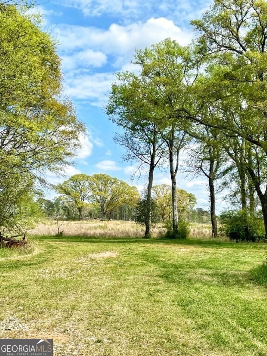 Photo of 4843 Greer Road, Hillsboro, GA 31038 (MLS # 10721756)