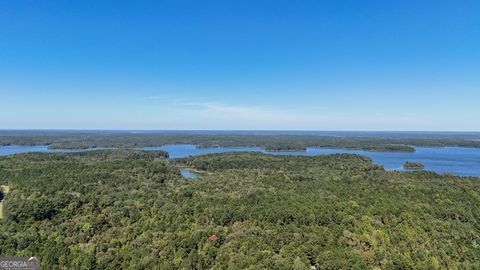 Photo of 3 Calhoun Falls Highway, Elberton, GA 30635 (MLS # 10629364) Photo of 3 Calhoun Falls Highway, Elberton, GA 30635 (MLS # 10629364)