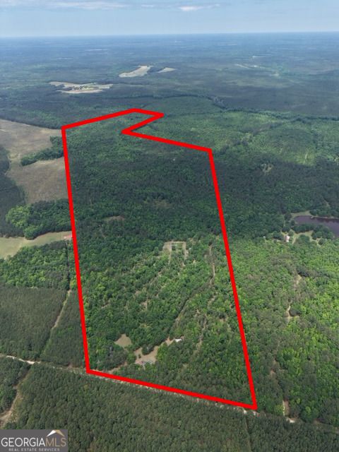 Photo of 715 Fulsome Creek Road, Sparta, GA 31087 (MLS # 10765610)