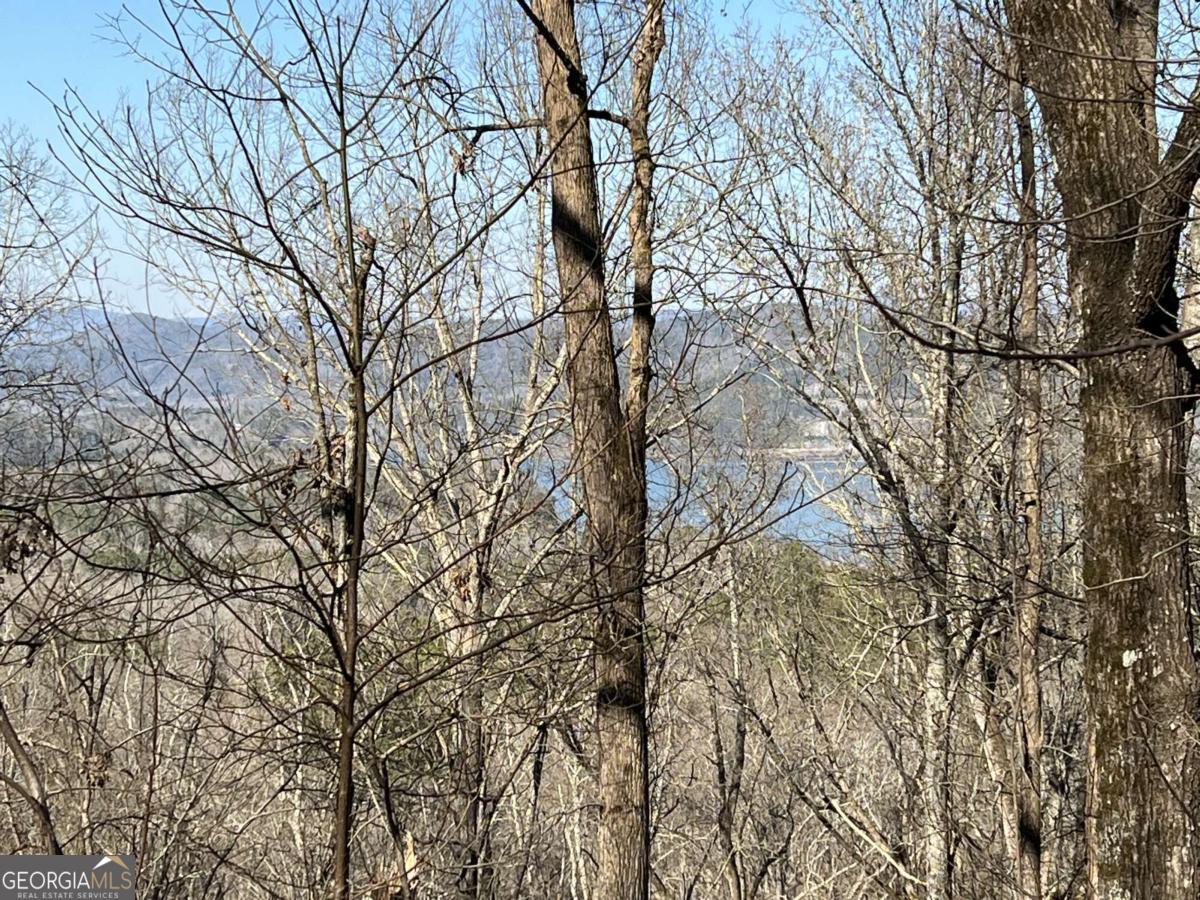 LOT 326 Adair DR