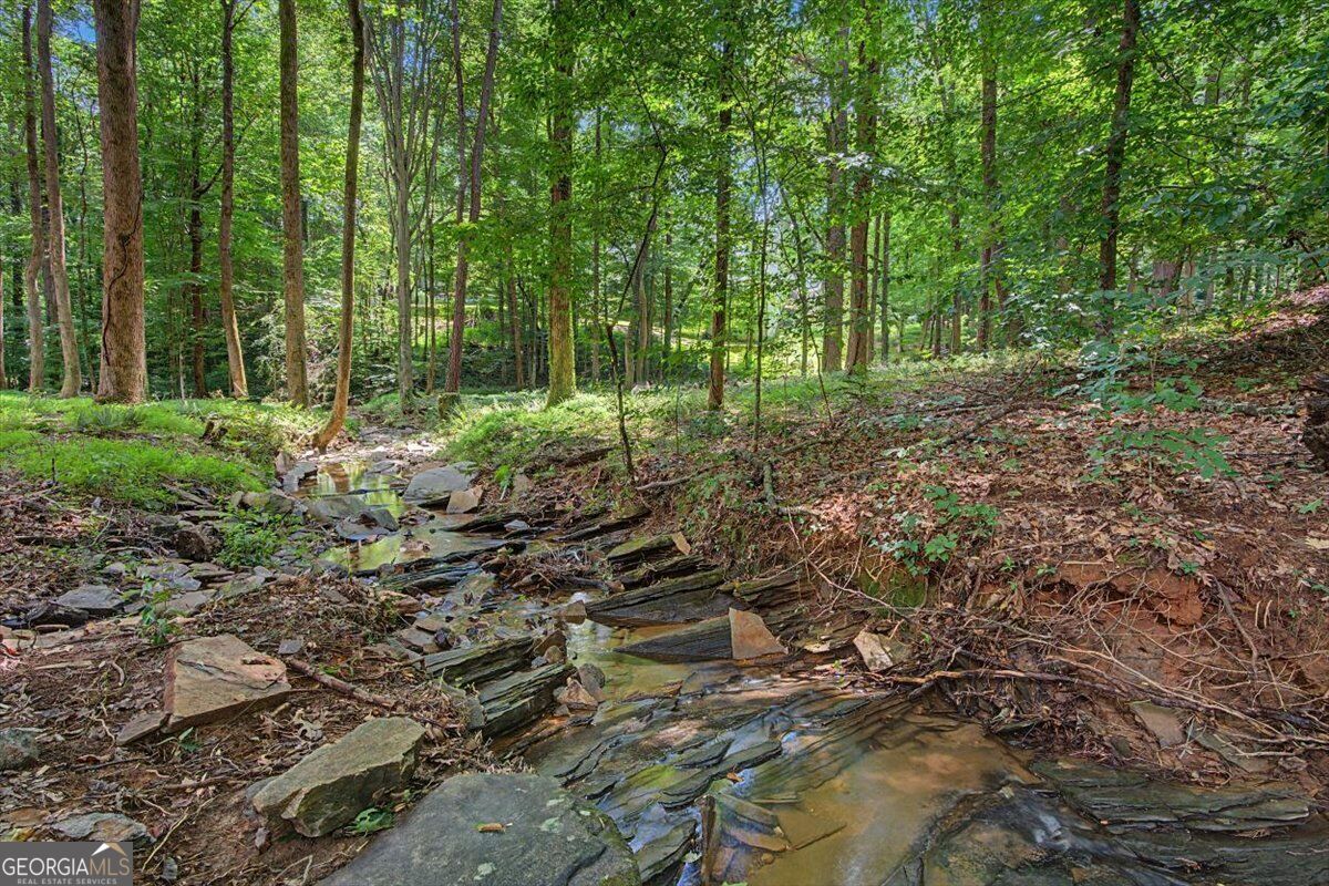 1244 Timberland DR SE