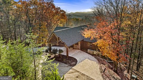 307 Big Timber RD Mineral Bluff GA 30559