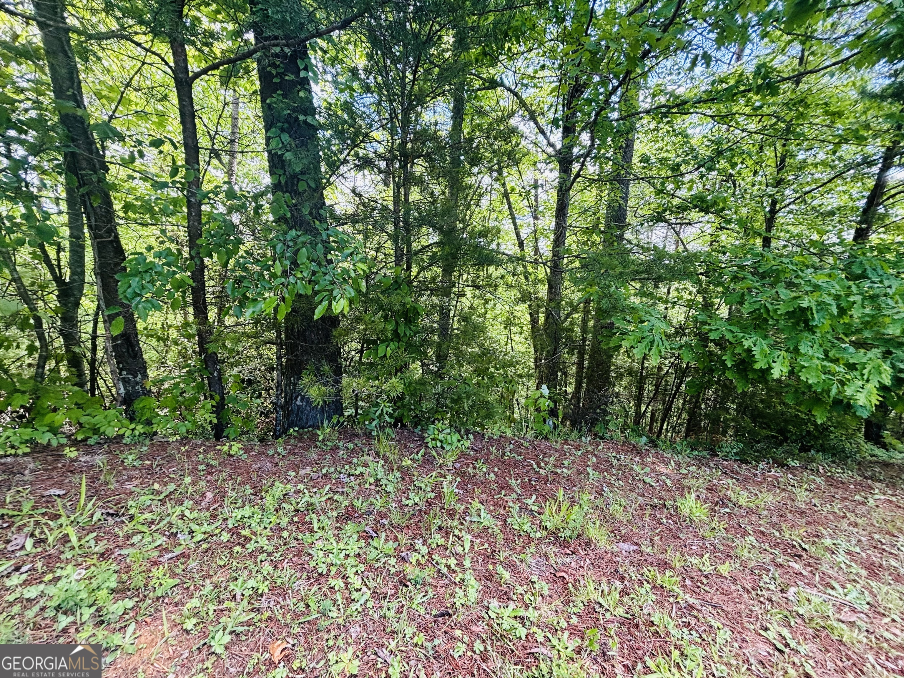 0 Rosen Strasse ~ LOT 141
