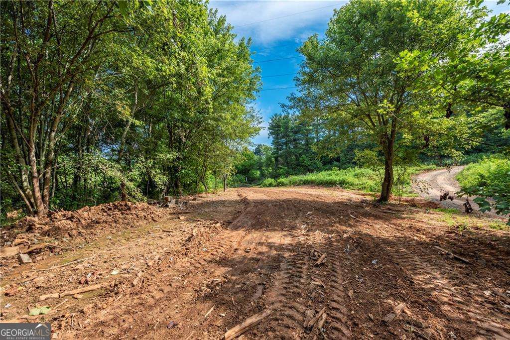 Don't miss this rare opportunity to own 9.88 acres of unrestricted land, currently zoned agricultural-ideal for building your dream home, establishing a mini-farm, or creating a peaceful country retreat. With roads already in place, access is easy and site prep is minimal. Imagine open pastures for your horses, a custom home surrounded by nature, and the quiet of rural living-all just 5 minutes from downtown Jasper and Highway 515. County water is available, adding even more convenience. The adjoining 9.88-acre parcel is also available, offering a total of 19.76 acres and endless possibilities. Bring your vision and make this special property your own!
