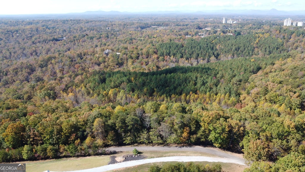 Photo of 0 Baldwin Heights Road, Baldwin, GA 30511 (MLS # 10810152)