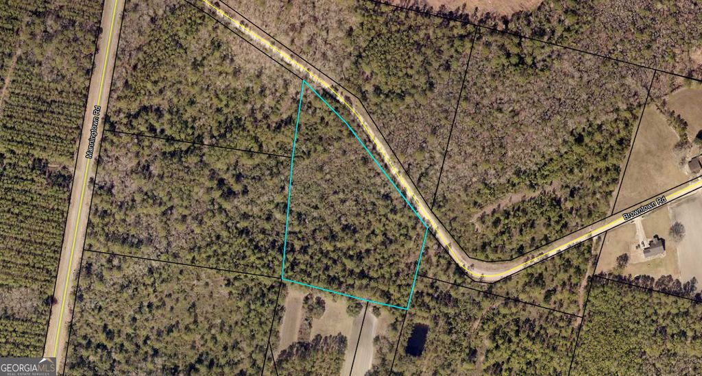 Photo of 0 Browntown, Jesup, GA 31546 (MLS # 10758344)