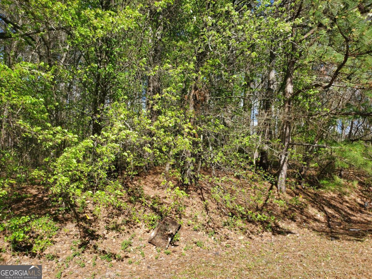 Residential lot located on the corner of Gus Robinson Rd and Macland Rd. The property is in Lovinggood and Hillgrove school districts. Bring your builder and ideas to build your dream home.