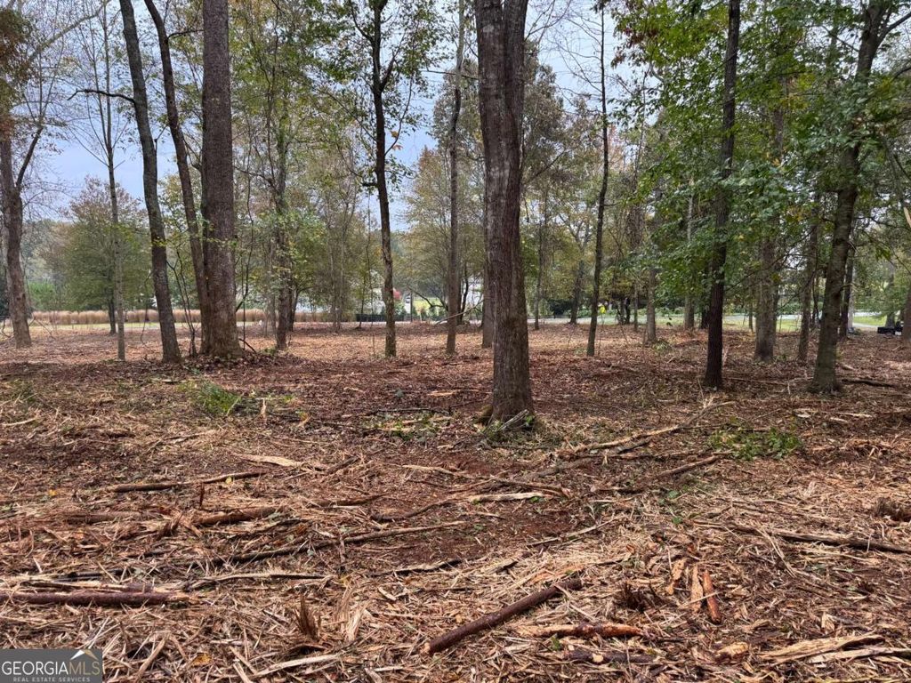 Photo of 13630 Birmingham Highway, Alpharetta, GA 30004 (MLS # 10629738)