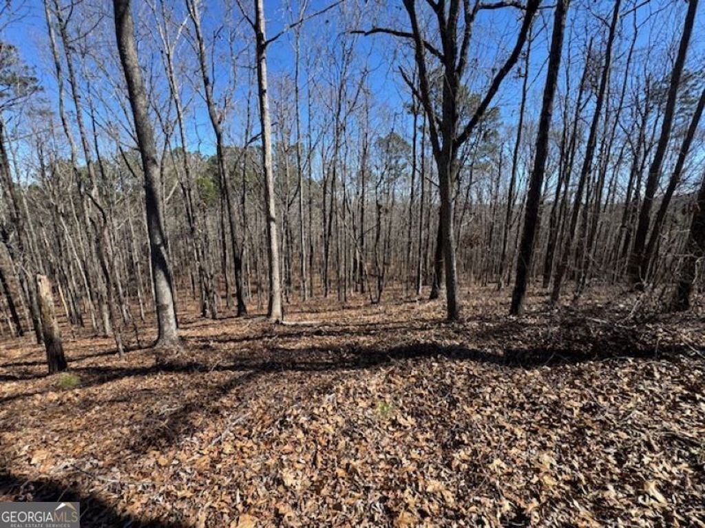 Photo of 0 Brown Creek Road, Shiloh, GA 31826 (MLS # 10702900)