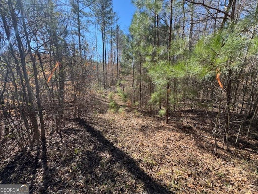 Photo of 0 Brown Creek Road, Shiloh, GA 31826 (MLS # 10702900)