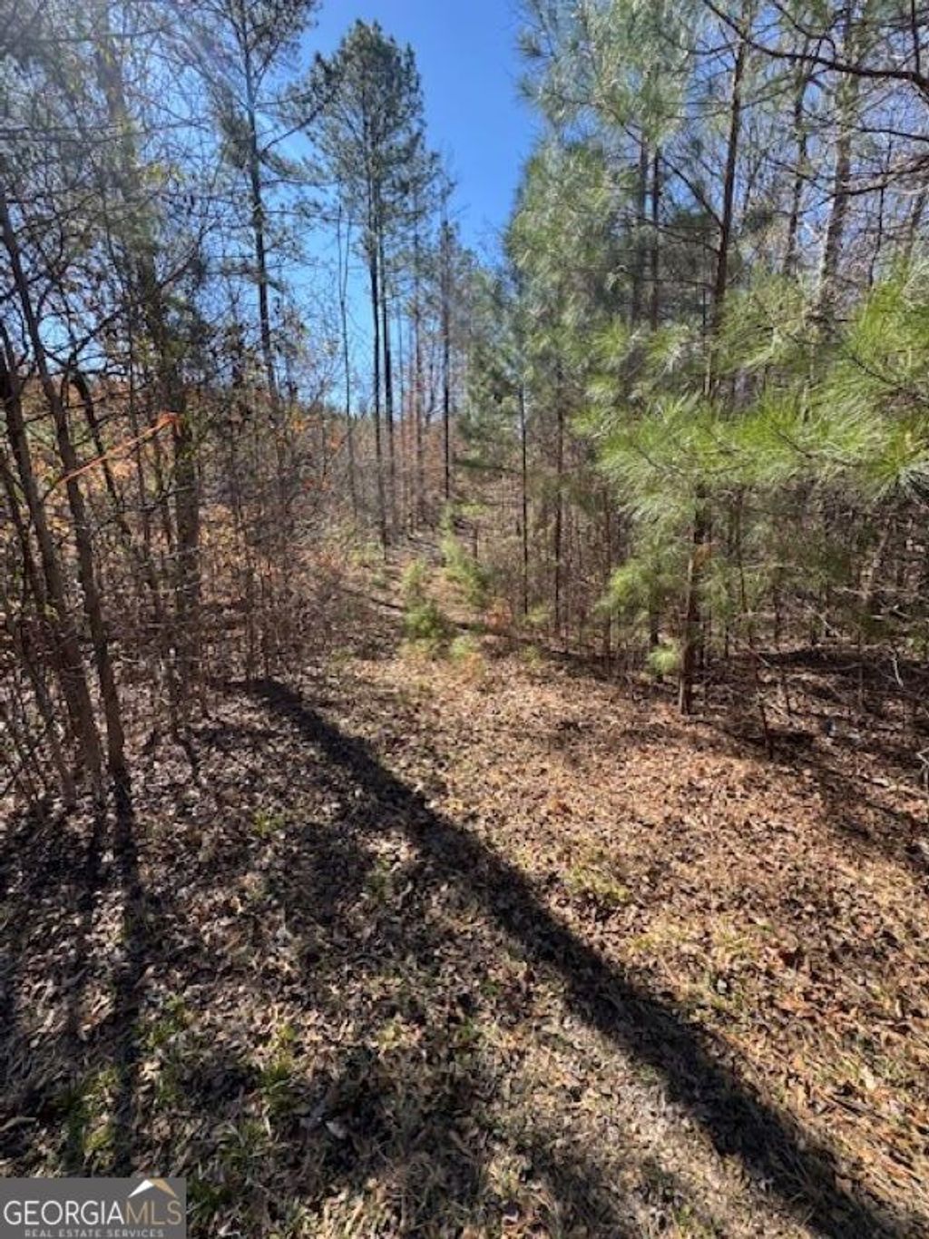 Photo of 0 Brown Creek Road, Shiloh, GA 31826 (MLS # 10702900)
