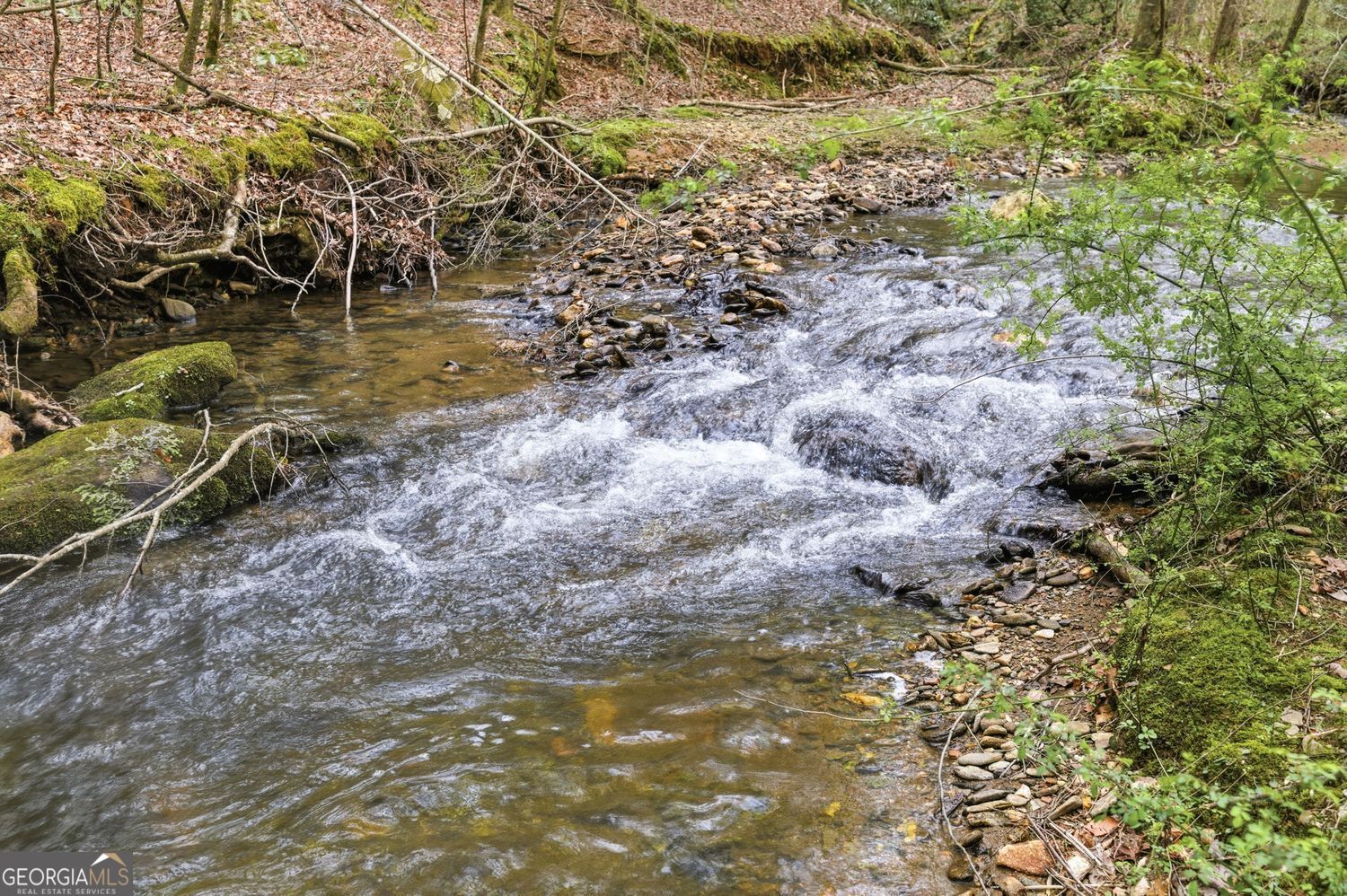 109 Clayton Gooch RD