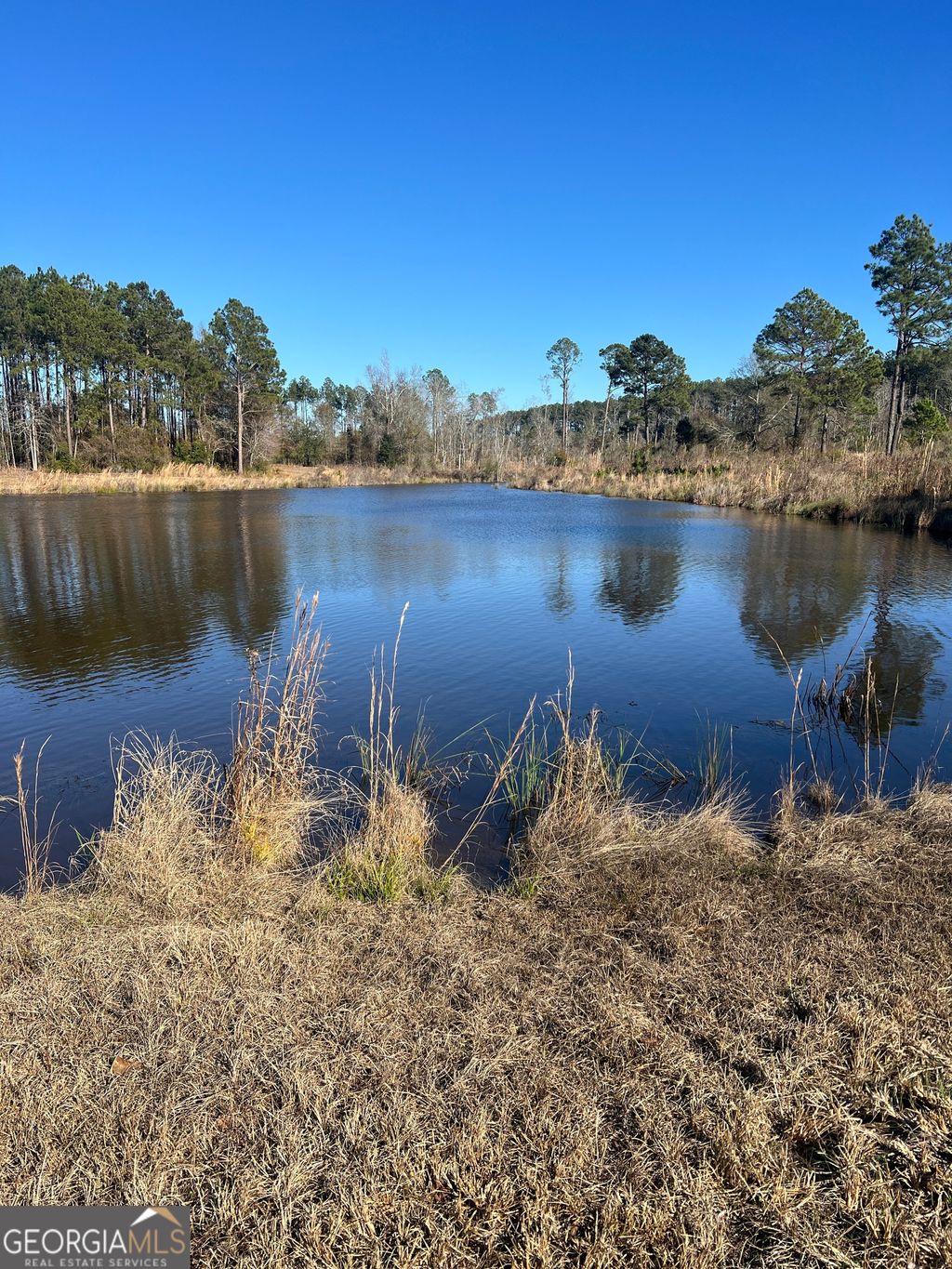 Photo of 0 Marchants Dairy Rd, Rhine, GA 31077 (MLS # 10677798)