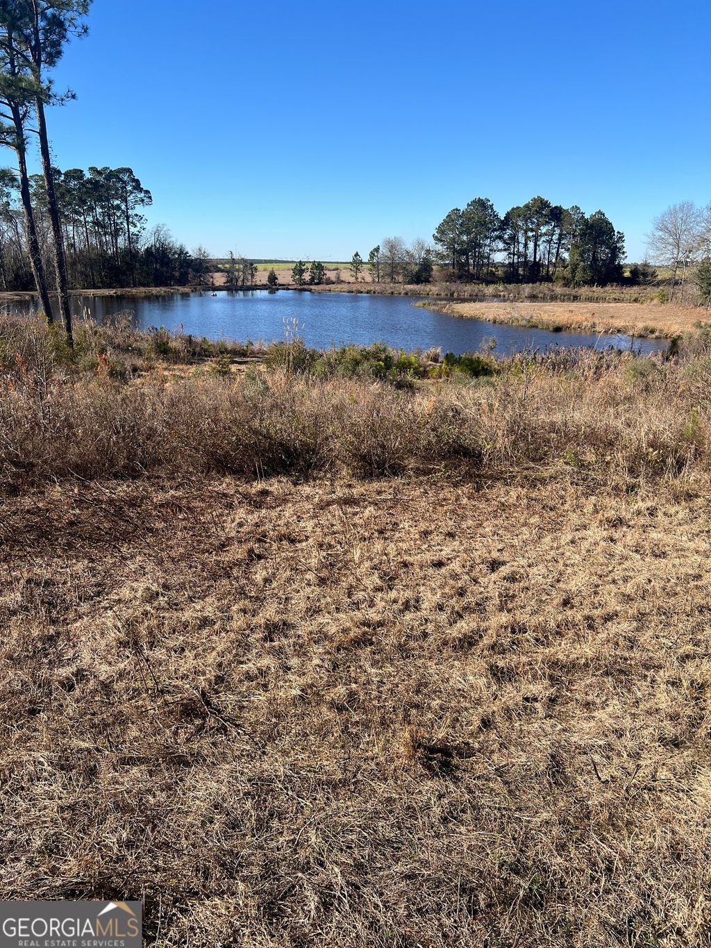 Photo of 0 Marchants Dairy Rd, Rhine, GA 31077 (MLS # 10677798)