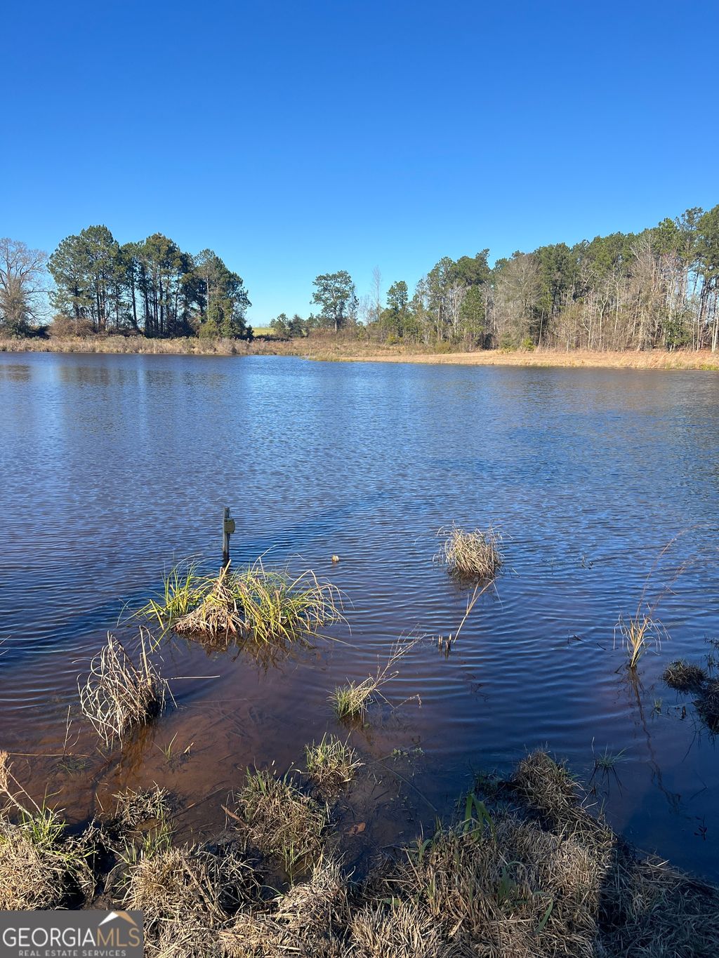 Photo of 0 Marchants Dairy Rd, Rhine, GA 31077 (MLS # 10677798)