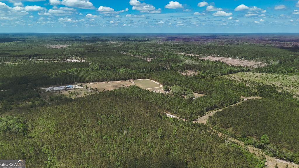 Photo of 000 Mt Olive Road, Hortense, GA 31543 (MLS # 10771296)