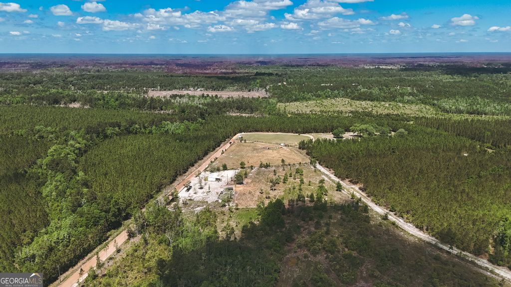 Photo of 000 Mt Olive Road, Hortense, GA 31543 (MLS # 10771296)