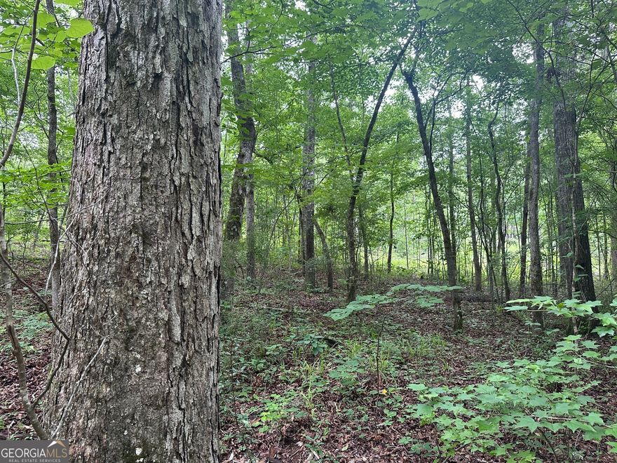 0 Waterview Drive, LaGrange, Ga: In the Hillcrest area, this approximately 18.8 acres has about 440 feet of frontage on Waterview Drive (150 feet are required for building permit). It has a creek in the front and one that makes the west property line. It has nice topography (see map & photos of views) with room for a shop or barn, side by side trails, foodplots, pastures, etc. The photos show the creeks and vistas, large hardwoods (the pines were harvested), street view and nearby boatramp. It's 1/4 mile across US 27  on the Corps of Engineers Clark Recreation Area where there are picnic tables, grills, restrooms. 3.5 miles to Sunny Point Recreation Area on Ga Hwy 219. Downtown LaGrange less than minutes, convenient to bypass, etc.