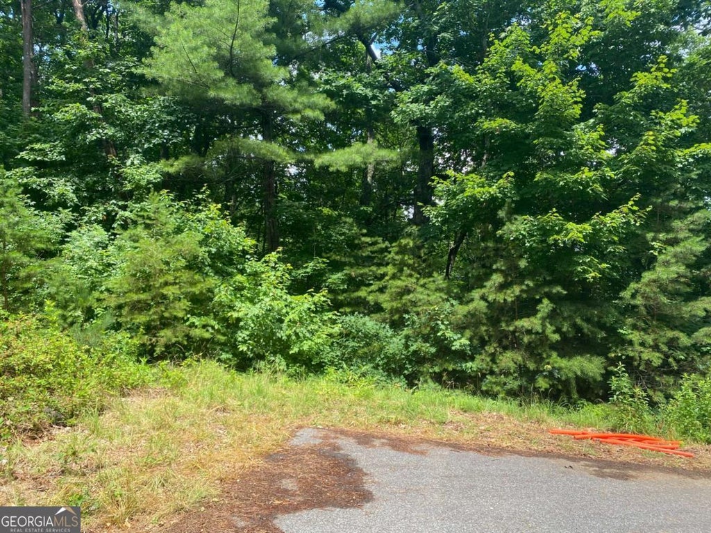 Photo of 0 Sunrise Ridge #LOT 28, Blairsville, GA 30512 (MLS # 10815746)