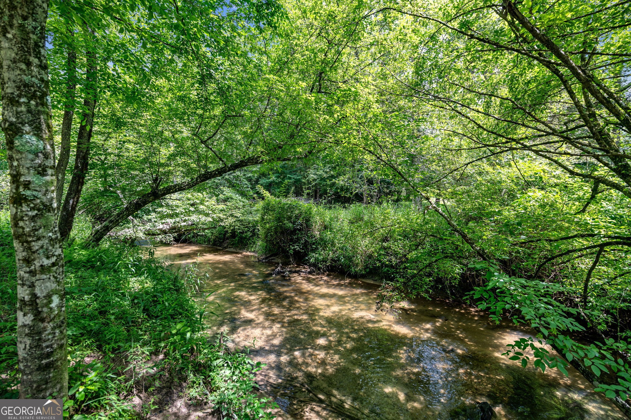 215 Twin Creeks, Blue Ridge, GA, 30513, USA, 3 Bedrooms Bedrooms, ,3 BathroomsBathrooms,Residential,Active,215 Twin Creeks,10762696